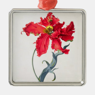 Tulip: Perroquet Rouge Metal Ornament