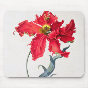 Tulip: Perroquet Rouge Mouse Pad
