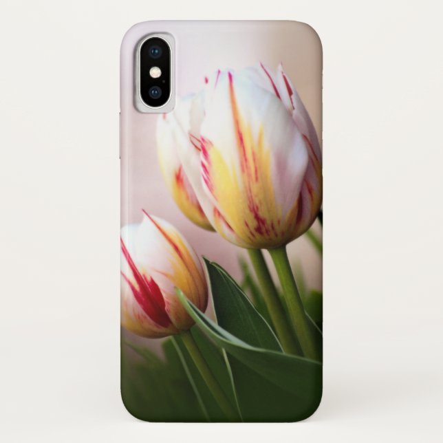 Tulip Photo iPhone Glossy Case Cover (Back)