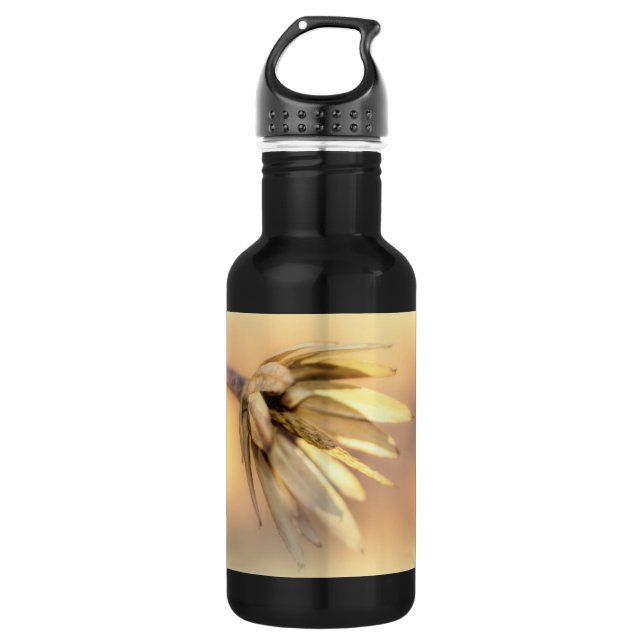 Tulip Poplar Empty Seed Pod 532 Ml Water Bottle (Front)