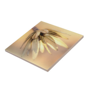 Tulip Poplar Empty Seed Pod Ceramic Tile