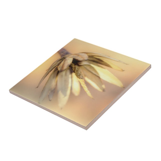 Tulip Poplar Empty Seed Pod Ceramic Tile (Side)