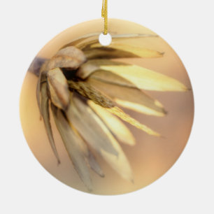 Tulip Poplar Empty Seed Pod Ceramic Tree Decoration