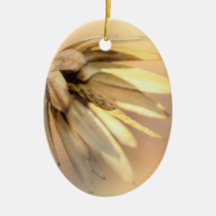 Tulip Poplar Empty Seed Pod Ceramic Tree Decoration