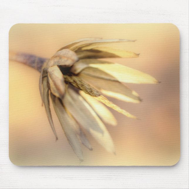 Tulip Poplar Empty Seed Pod Mouse Pad (Front)