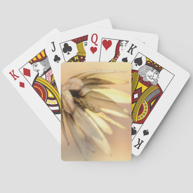 Tulip Poplar Empty Seed Pod Playing Cards (Back)