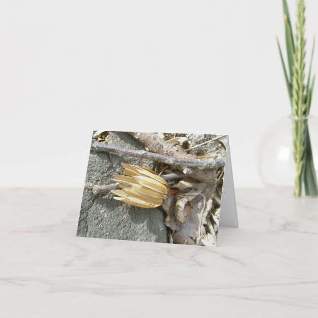 Tulip Poplar Seedhead Note Card (Front)