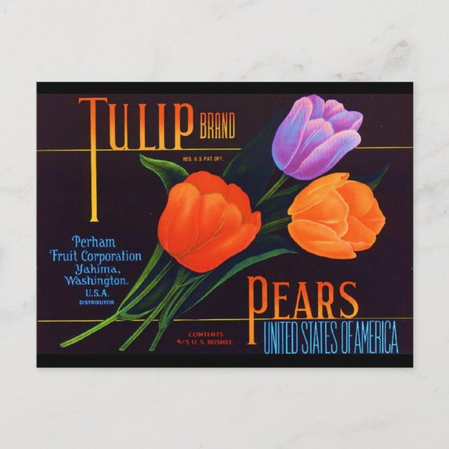 Tulip Postcard (Front)