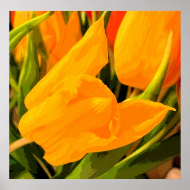 Tulip Poster (Front)