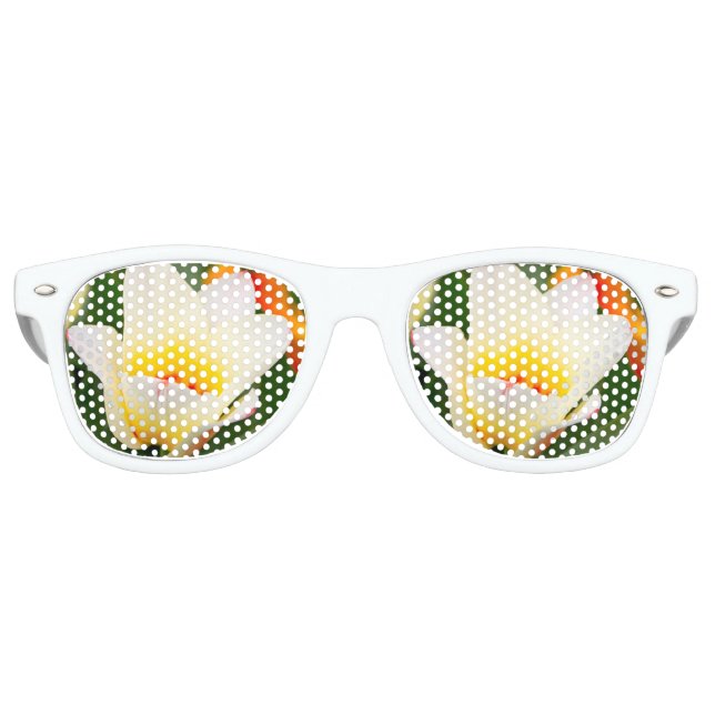 Tulip Retro Sunglasses (Front)