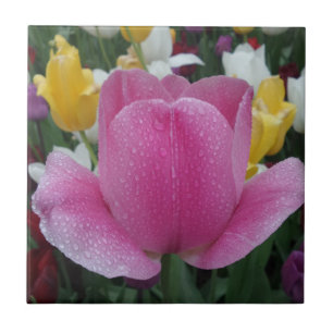Tulip Small (4.25" x 4.25") Ceramic Photo Tile