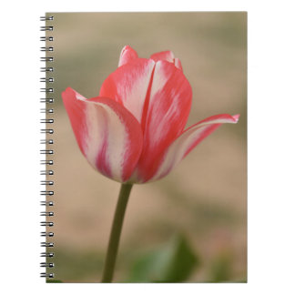 Tulip Spiral Notebook/Journal Notebook