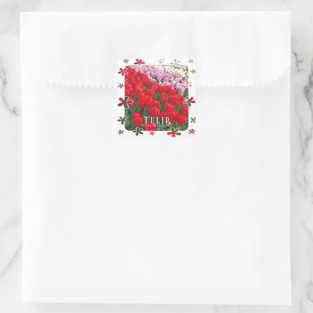 Tulip Square Sticker (Bag)