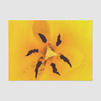 Tulip stamen and pollen tissue paper