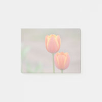Tulip Sticky Notes