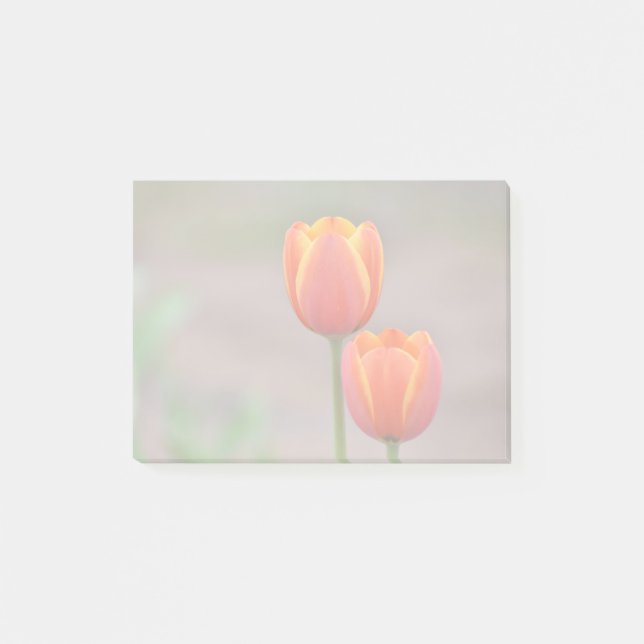 Tulip Sticky Notes (Front)