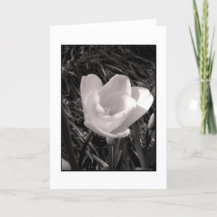 Tulip Still-life Blank Greeting Card