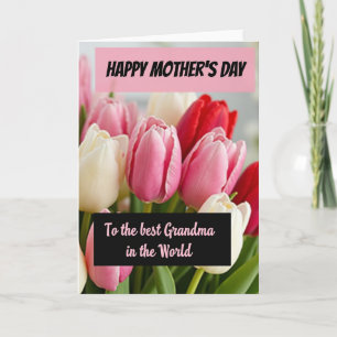 Tulip Sweet Mothers Day Card