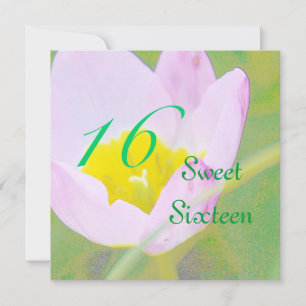 tulip sweet sixteen birthday invitation