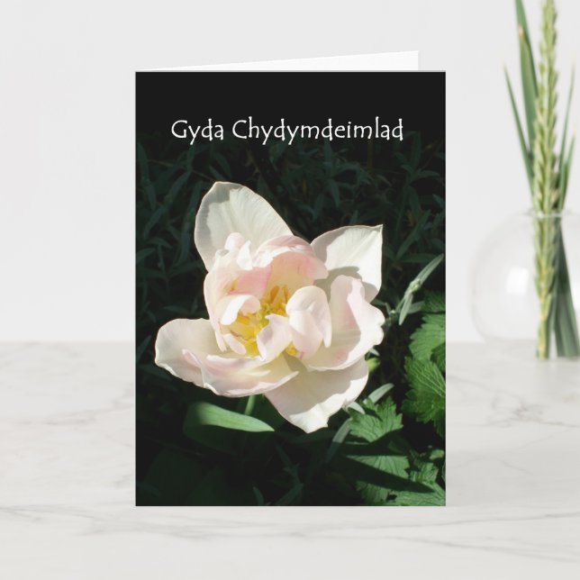 'Tulip' Sympathy Card - Welsh Greeting (Front)