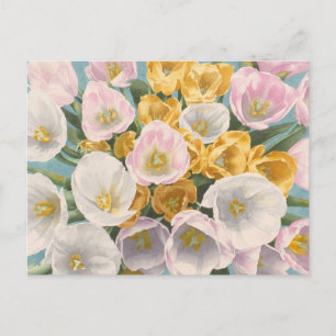 Tulip Tantrum postcard