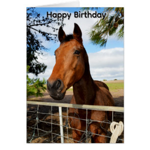 Tulip The Brown Bay Horse, Birthday Card