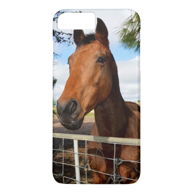 Tulip The Brown Bay Horse, Case-Mate iPhone Case (Back)