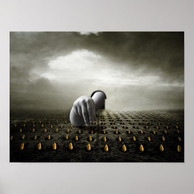 Tulip thief 2013 poster (Front)