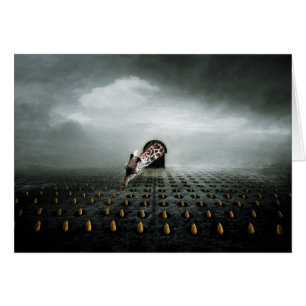 tulip thief 2 2013