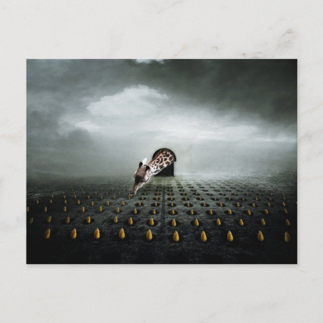 tulip thief 2 2013 postcard (Front)