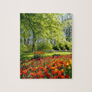 Tulip time, gardens at Keukenhof Jigsaw Puzzle
