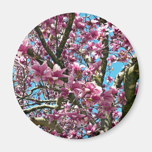 Tulip Tree Magnet (Front)