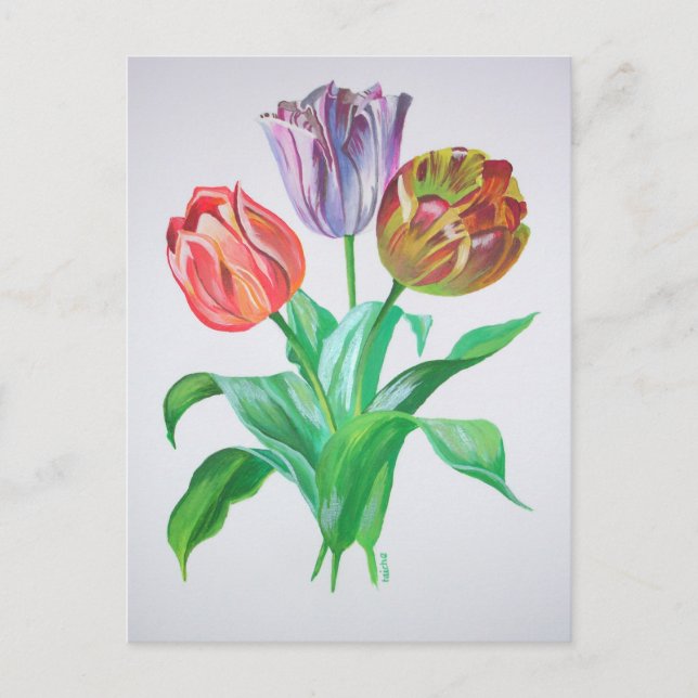 Tulip Trio Colourful Artistic Flowers Postcard (Front)