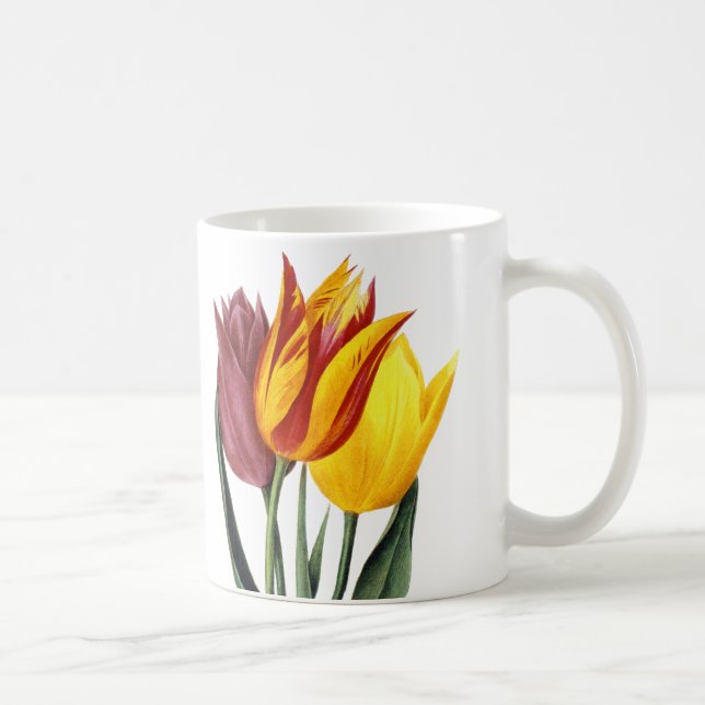 Tulip (Tulipa Gesneriana) Coffee Mug (Right)
