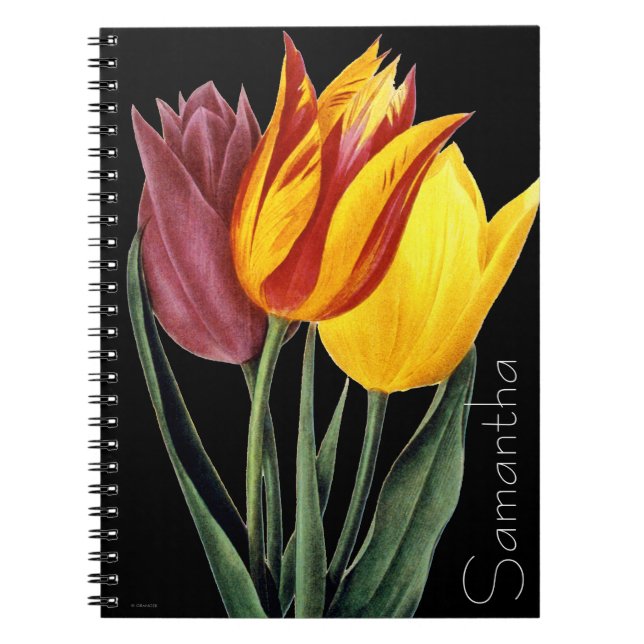Tulip (Tulipa Gesneriana) Notebook (Front)