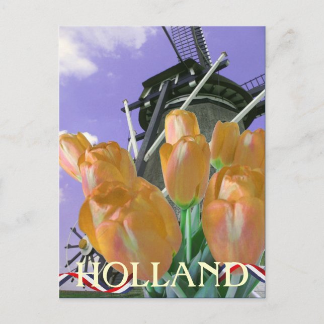 Tulip Windmill Art Holland Postcard (Front)