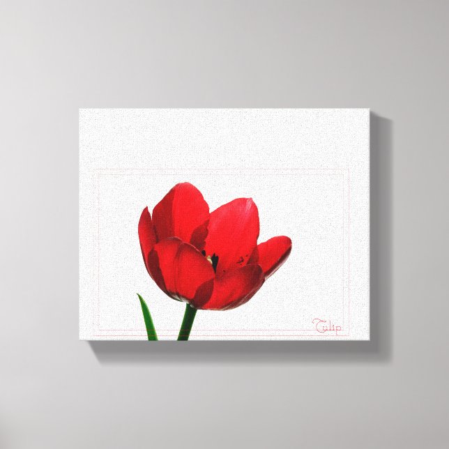 Tulip Wrapped Canvas (Front)