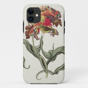 Tulipa Monstrosa Rubra Maior from 'Phythanthoza Ic iPhone 11 Case