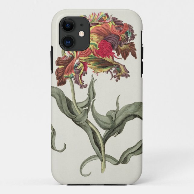 Tulipa Monstrosa Rubra Maior from 'Phythanthoza Ic Case-Mate iPhone Case (Back)