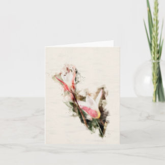 Tulipa tarda card