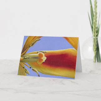 Tulipe  Arabesque - Art Card