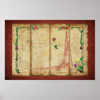 Tulipomania Graph (red) Poster