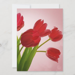 Tulips