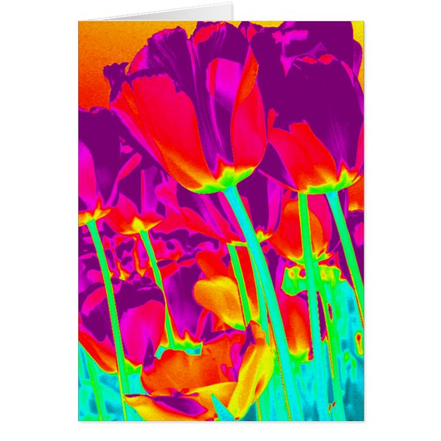 Tulips (Front)