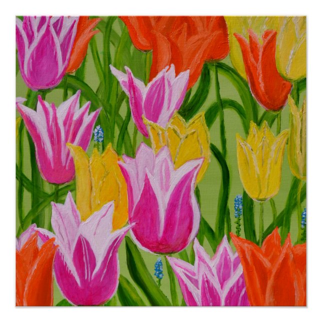 Tulips1 Poster (Front)