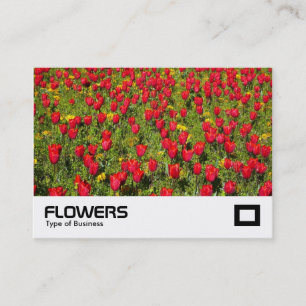 Tulips 02 business card