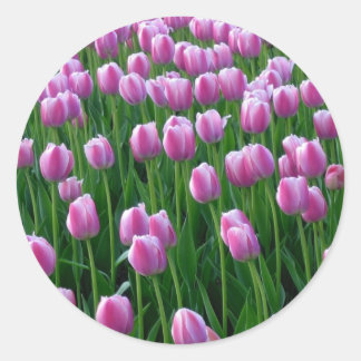 Tulips 14 Sticker