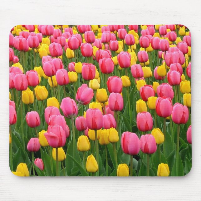 Tulips 1 Mouse Pad (Front)