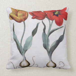 Tulips: 1.Tulipa globosa serotina cinnabrio colore Cushion