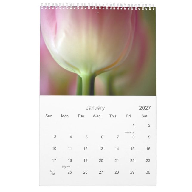Tulips 2011 Calendar (Jan 2027)